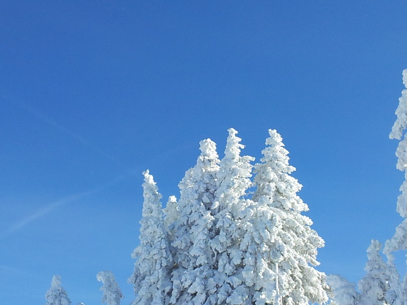20120130_104537.jpg